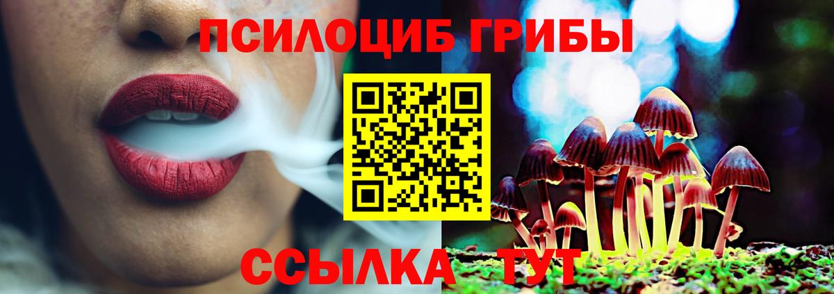Псилоцибиновые грибы Cubensis Россошь