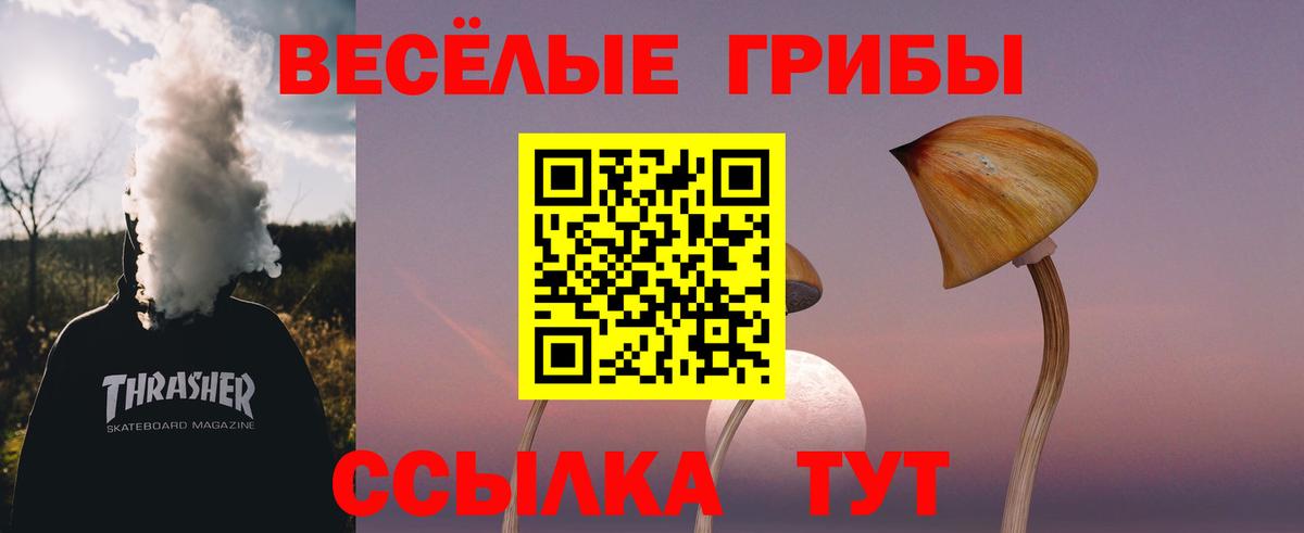Галлюциногенные грибы Magic Shrooms  Вход с VPN  Россошь 