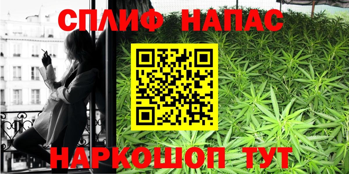 Каннабис тримм  Вход с VPN  Каннабис Bruce Banner  Конопля тримм  Россошь  Канабис Bruce Banner 